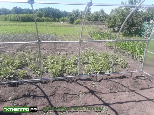 Фундамент для теплицы из свай Фундамент для теплицы из свай